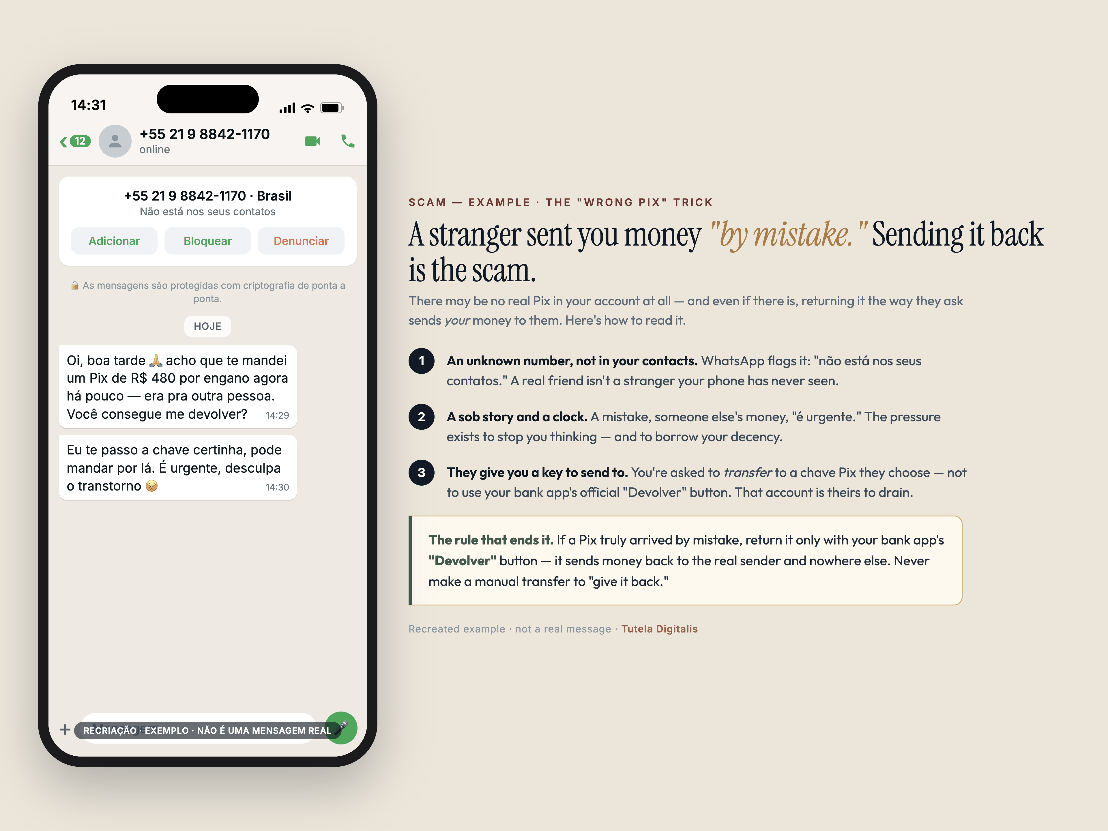 Recreated example of the 'wrong Pix' scam on a phone: a WhatsApp message from an unknown number says a Pix of R$480 was sent by mistake and asks the recipient to transfer it back to a key the sender provides, with the message decoded beside it — the unknown number, the apologetic story, the request to send to a different account, and the rule that a real error is returned with the in-app 'Devolver' button.